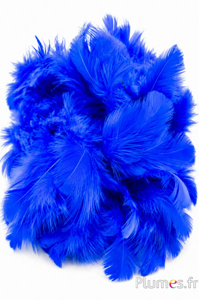 Henne - 5-9 cm - blau